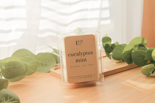 Eucalyptus Mint Wax Melt