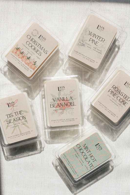 Mint Hot Chocolate Wax Melts